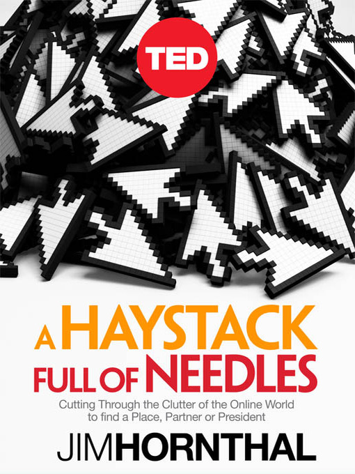 Title details for A Haystack Full of Needles by Jim Hornthal - Wait list